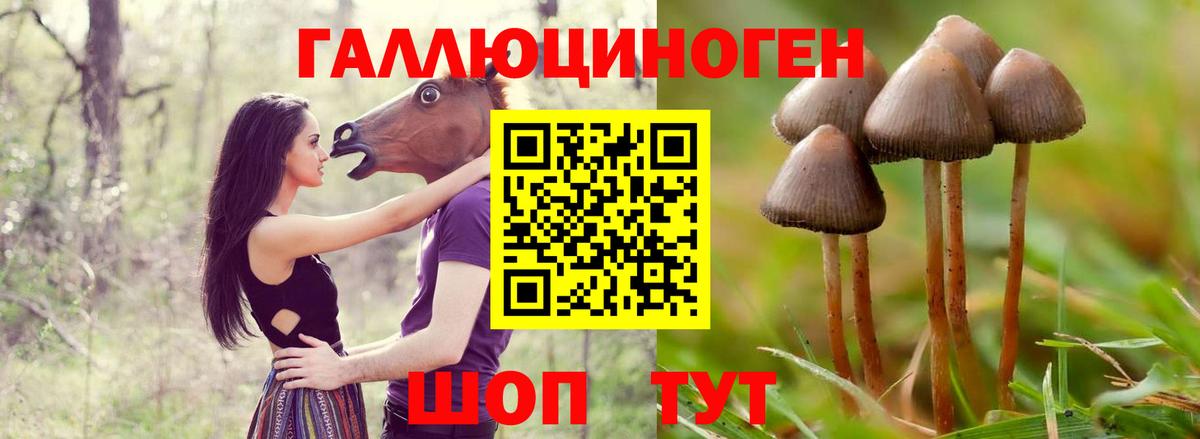 Ангарск  Псилоцибиновые грибы мухоморы  Вход с VPN 